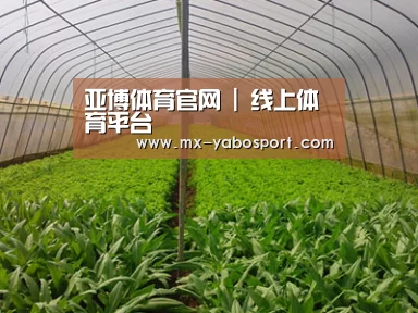 种植基地四