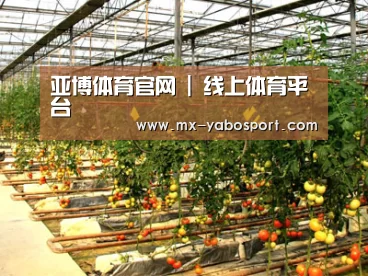 种植基地二