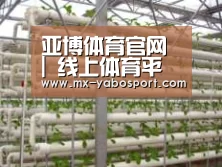 环境展示六