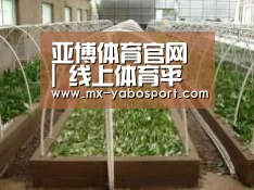 环境展示五