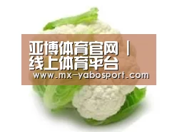 产品名称九