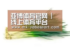 产品名称二
