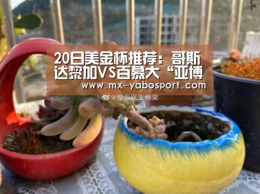20日美金杯推荐:哥斯达黎加VS百慕大“亚博官网”(图1) 亚博体育