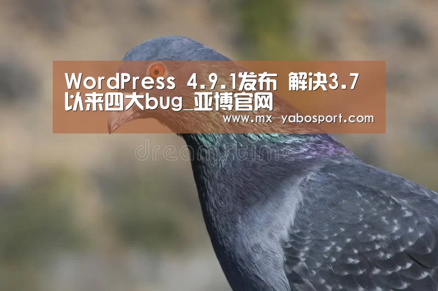 WordPress 4.9.1发布 解决3.7以来四大bug_亚博官网(图1) 亚博体育官网