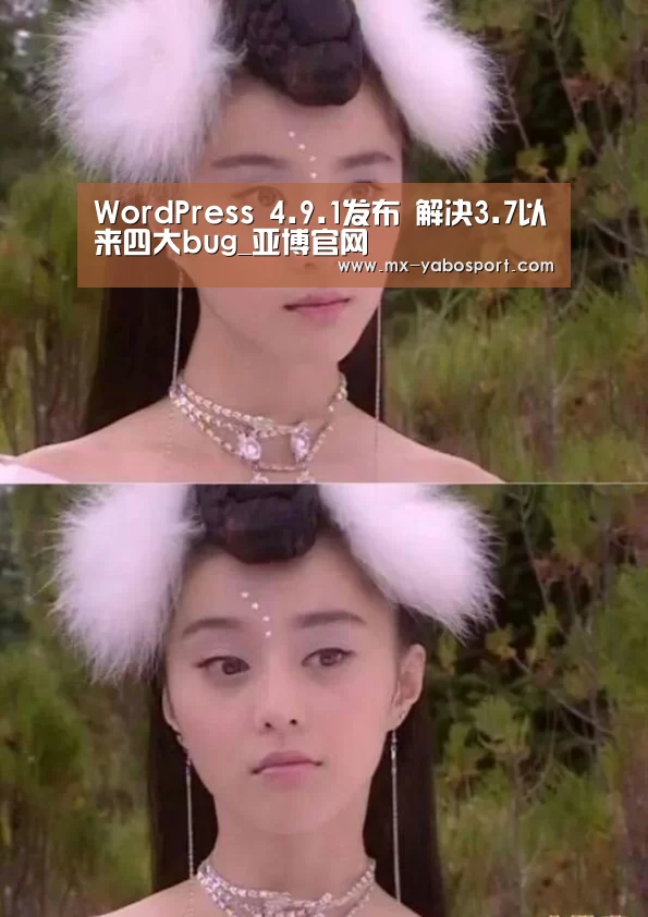 WordPress 4.9.1发布 解决3.7以来四大bug_亚博官网(图3) 亚博