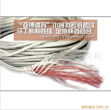 “亚博体育”小将刘若钒助攻马丁斯制胜球 足协杯首回合申花1-0上港占先机(图1) 亚博官网